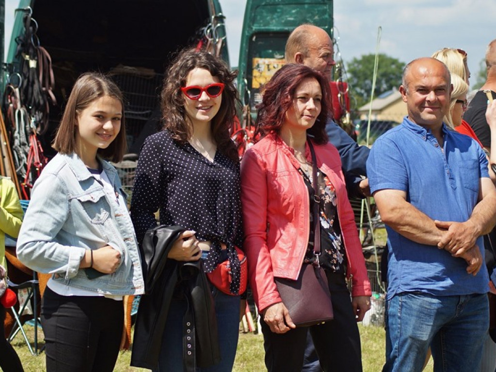 VI Wojewódzki Czempionat Koni Ras Zimnokrwistych w Bedlnie - zdjęcia