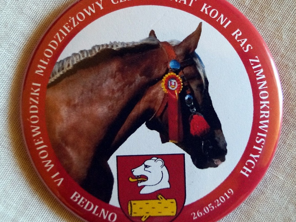 VI Wojewódzki Czempionat Koni Ras Zimnokrwistych w Bedlnie - zdjęcia
