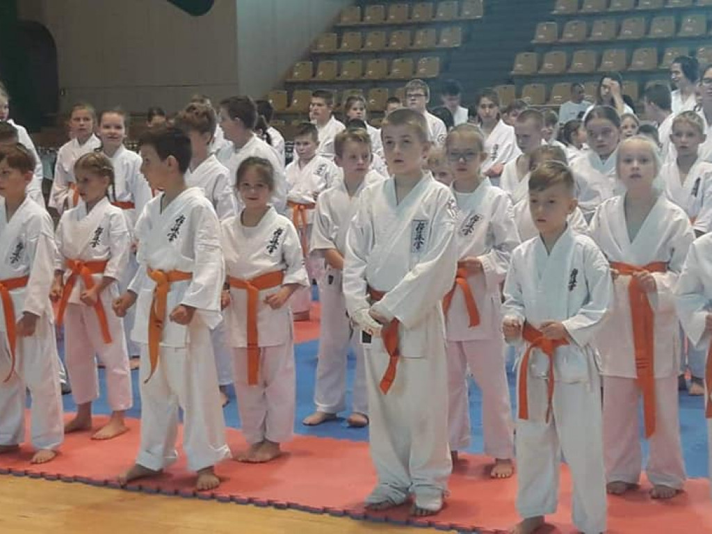 Sukcesy radzyńskich karateków w Chełmie