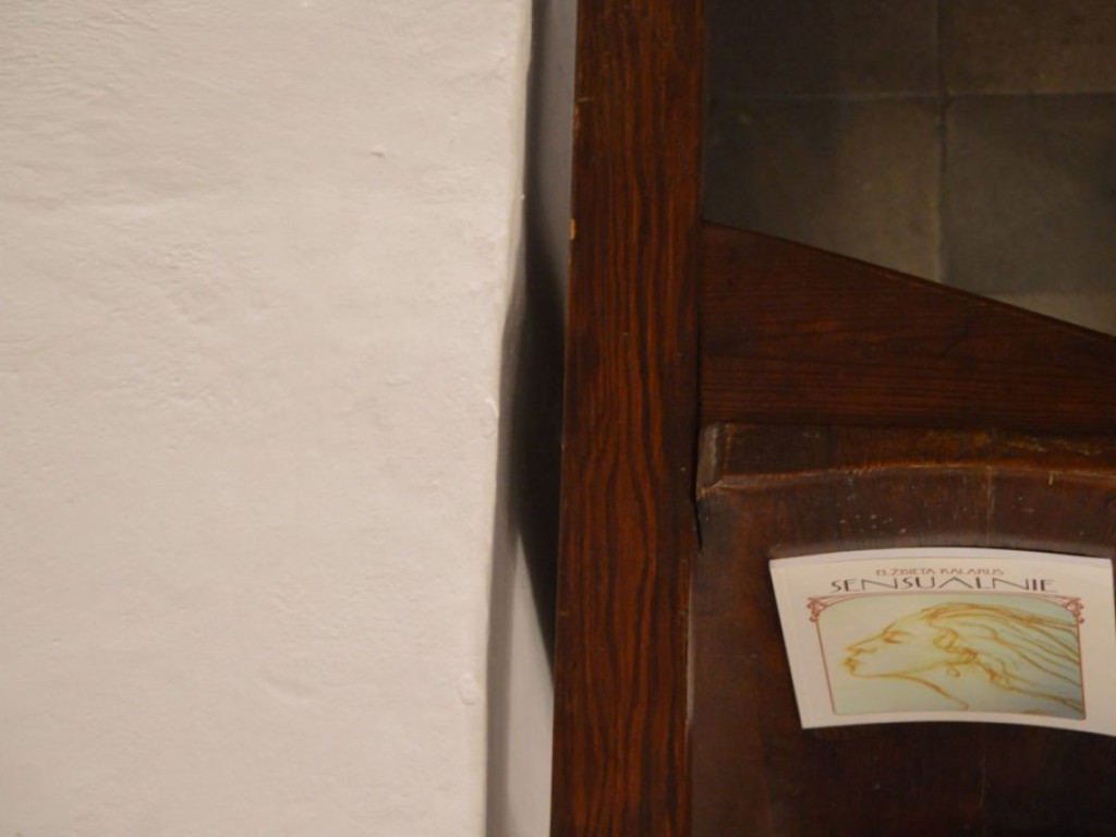 Spotkanie promocyjne z Elżbietą Kalarus