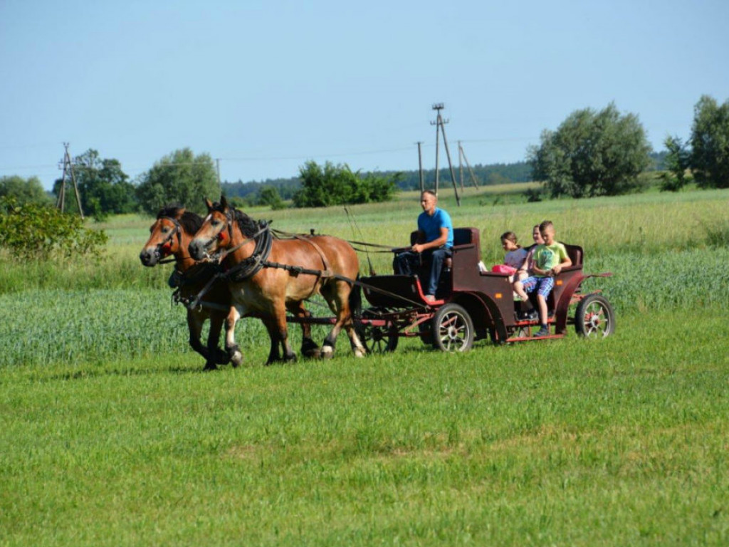 Gminny Dzień Dziecka w Zbulitowie Dużym - zdjęcia