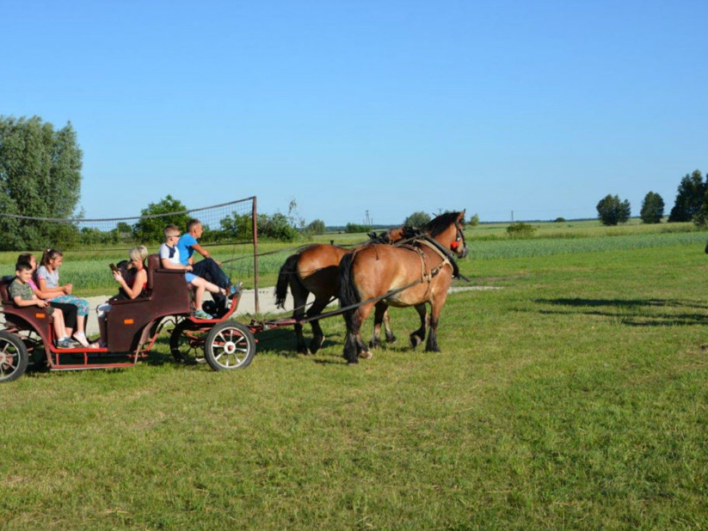 Gminny Dzień Dziecka w Zbulitowie Dużym - zdjęcia