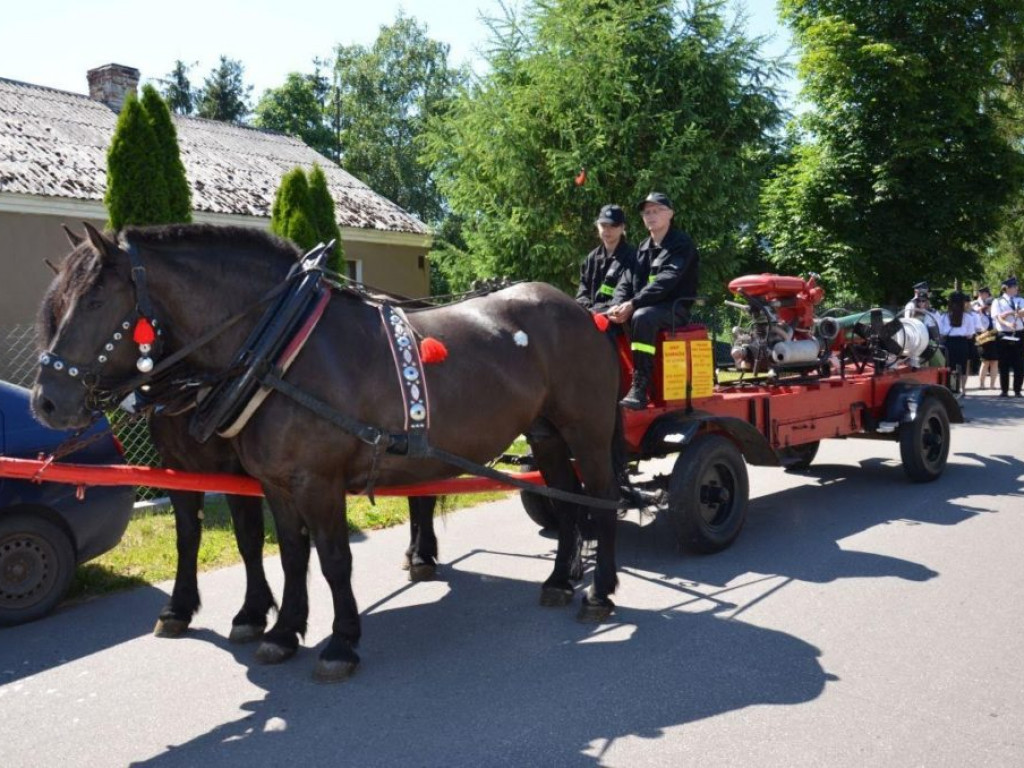 Obchody 95. rocznicy powstania OSP w Domaszewnicy