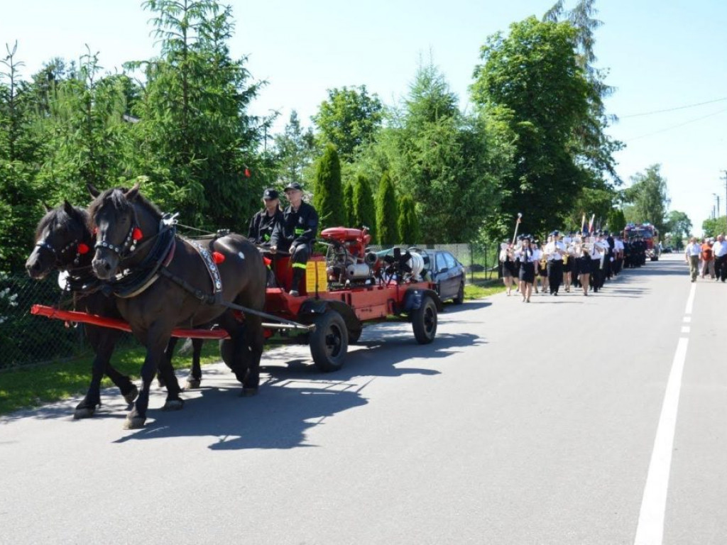 Obchody 95. rocznicy powstania OSP w Domaszewnicy