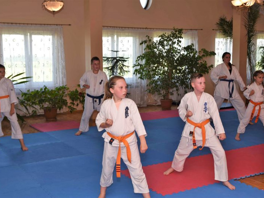 Egzamin sekcji karate kyokushin na wyższe stopnie