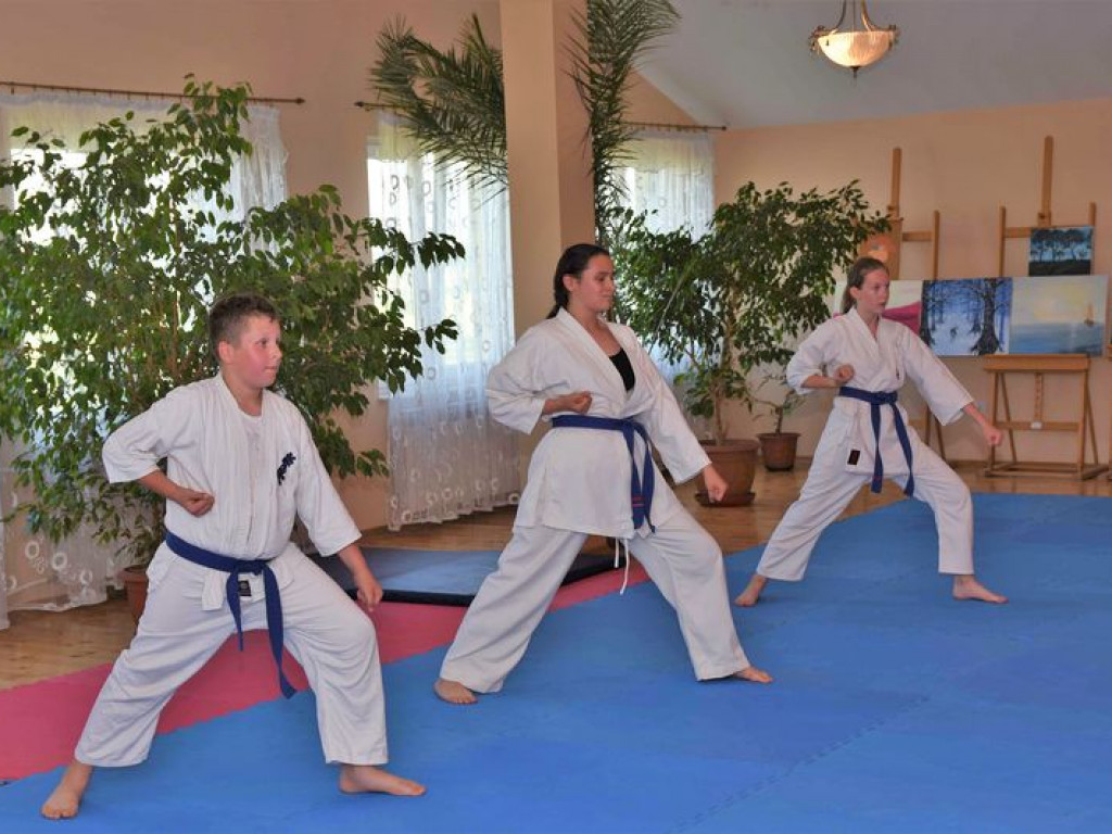 Egzamin sekcji karate kyokushin na wyższe stopnie