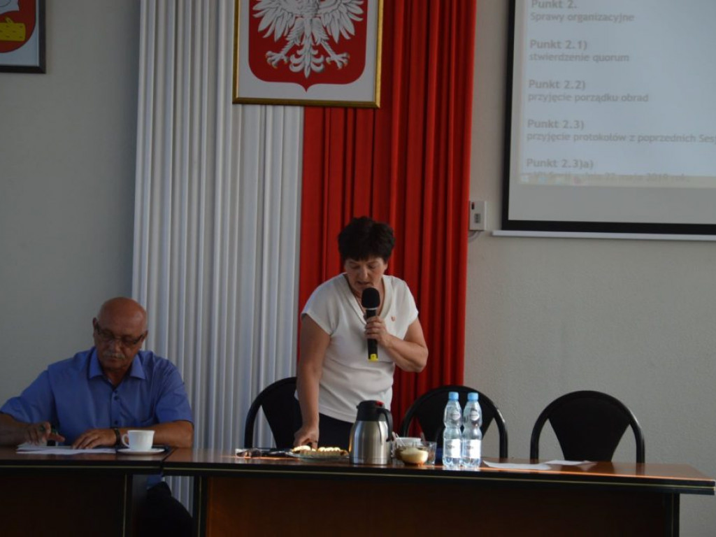 IX Sesja Rady Gminy Radzyń