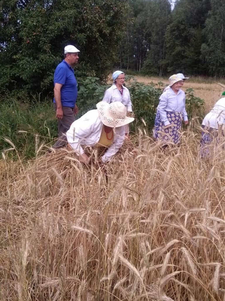 IV Gminne Święto Kosy w Białej