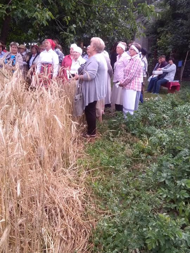 IV Gminne Święto Kosy w Białej