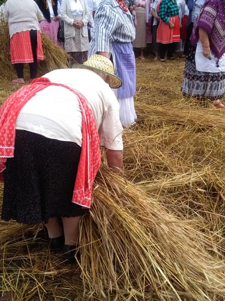 IV Gminne Święto Kosy w Białej