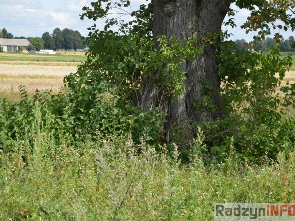 Zniszczenia po nawałnicy w Turowie