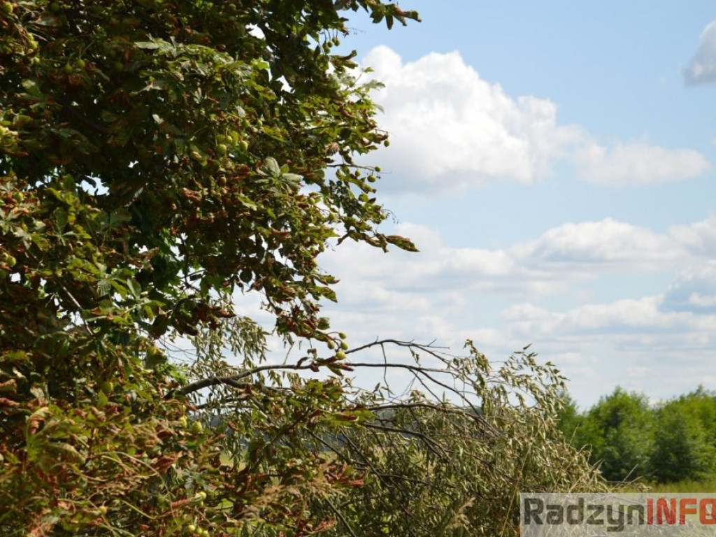 Zniszczenia po nawałnicy w Turowie