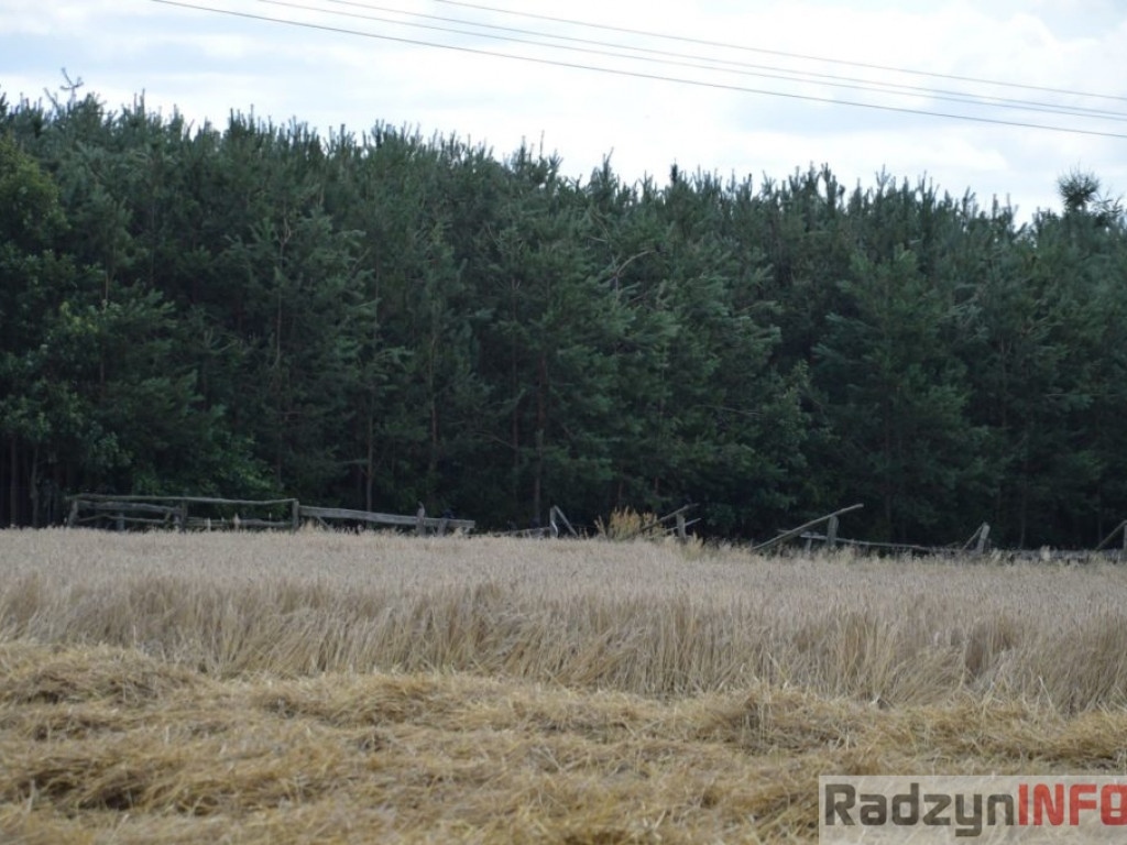 Zniszczenia po nawałnicy w Turowie