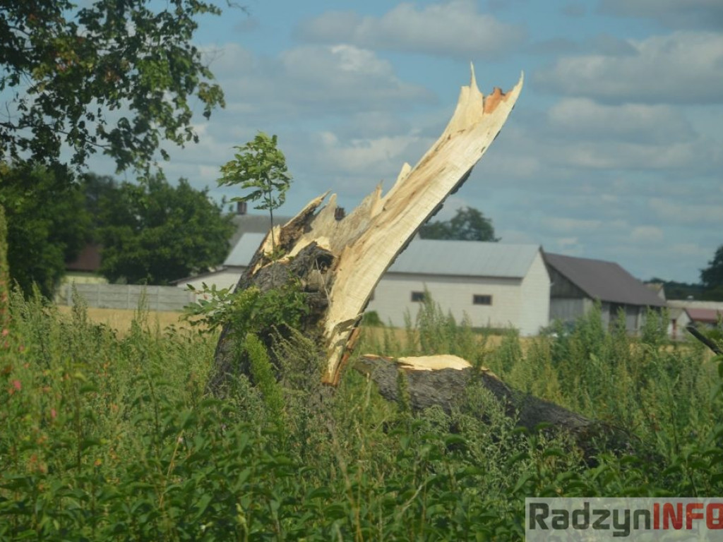 Zniszczenia po nawałnicy w Turowie