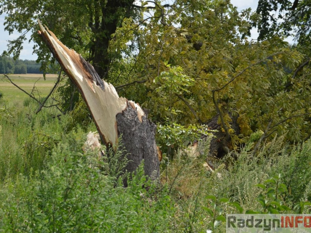 Zniszczenia po nawałnicy w Turowie