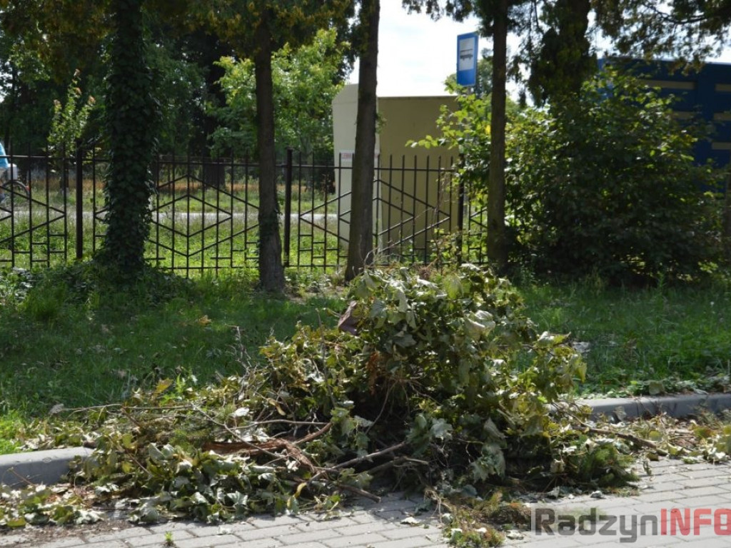 Zniszczenia po nawałnicy w Turowie