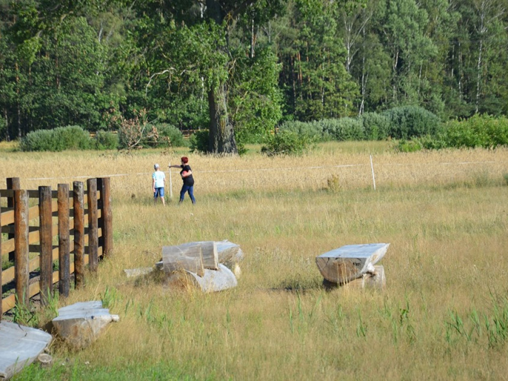 Spotkanie dla dzieci i rodziców w stadninie