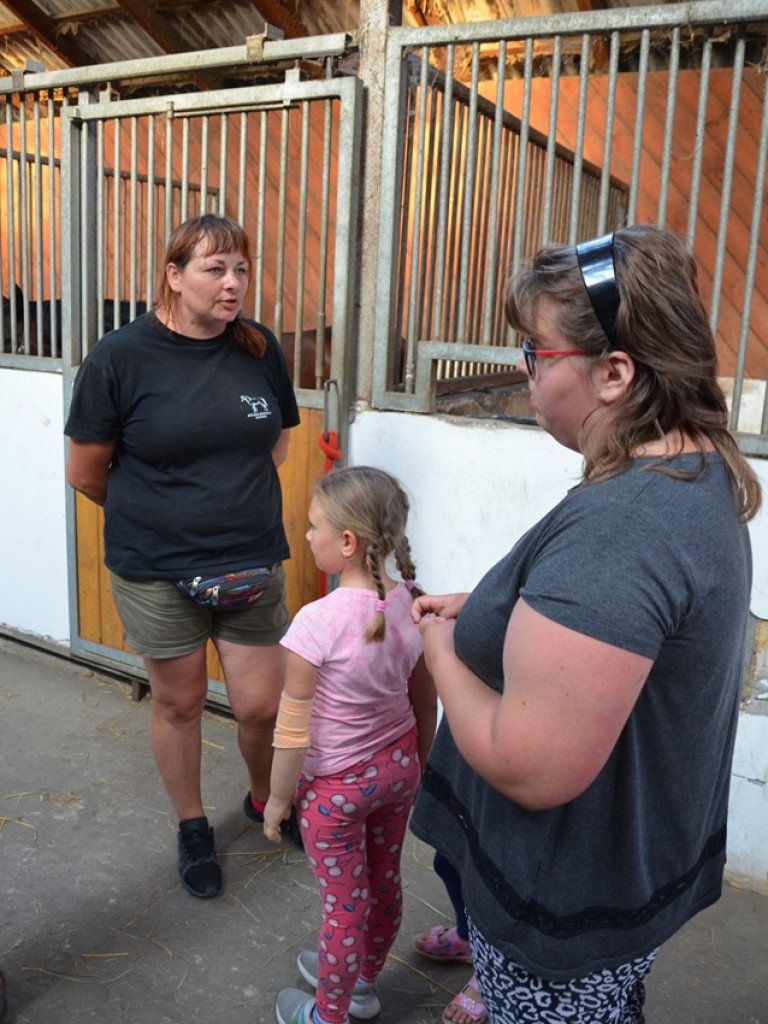 Spotkanie dla dzieci i rodziców w stadninie
