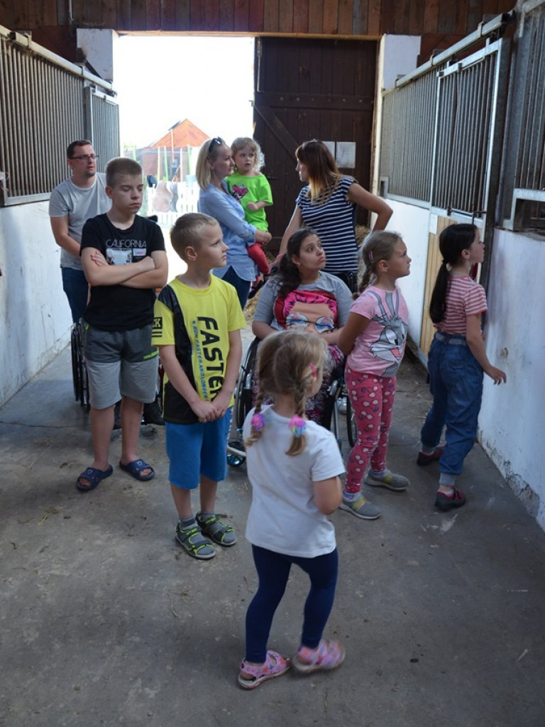 Spotkanie dla dzieci i rodziców w stadninie
