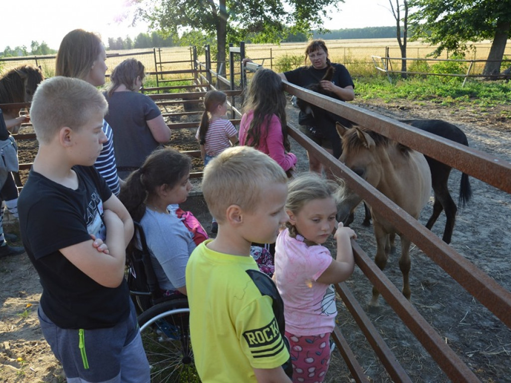 Spotkanie dla dzieci i rodziców w stadninie