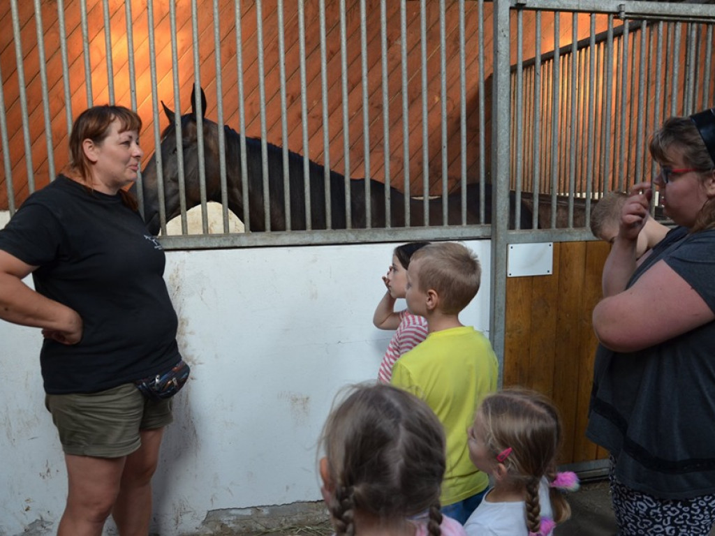 Spotkanie dla dzieci i rodziców w stadninie