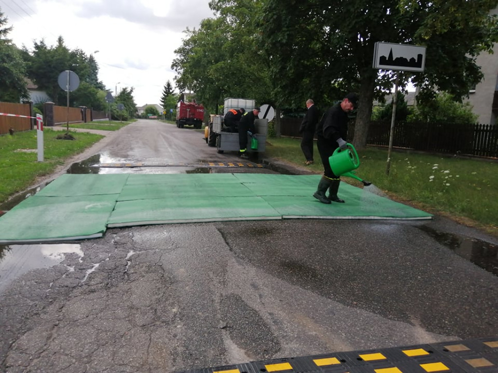 Walka z ASF w Świerżach
