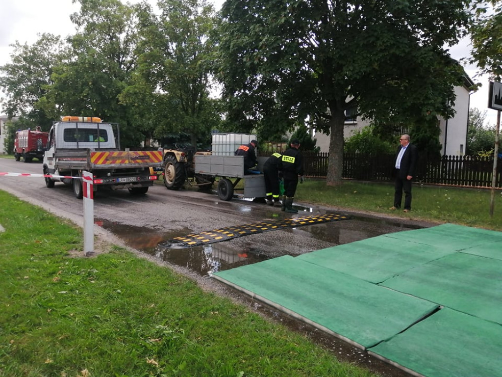 Walka z ASF w Świerżach
