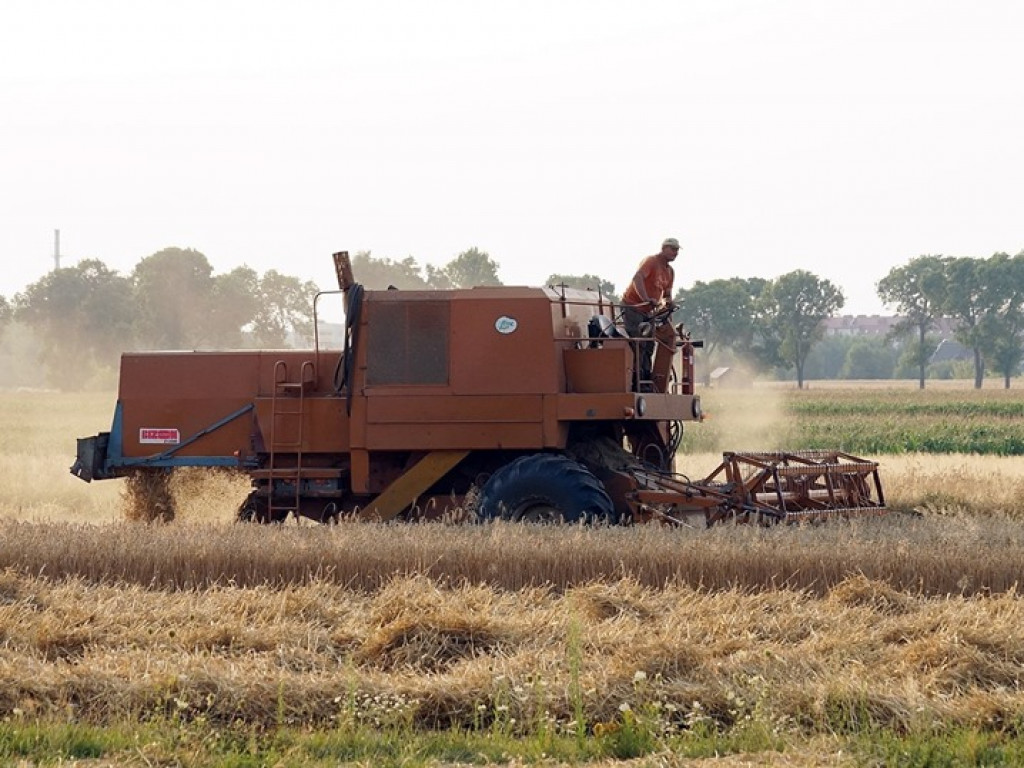 Żniwa