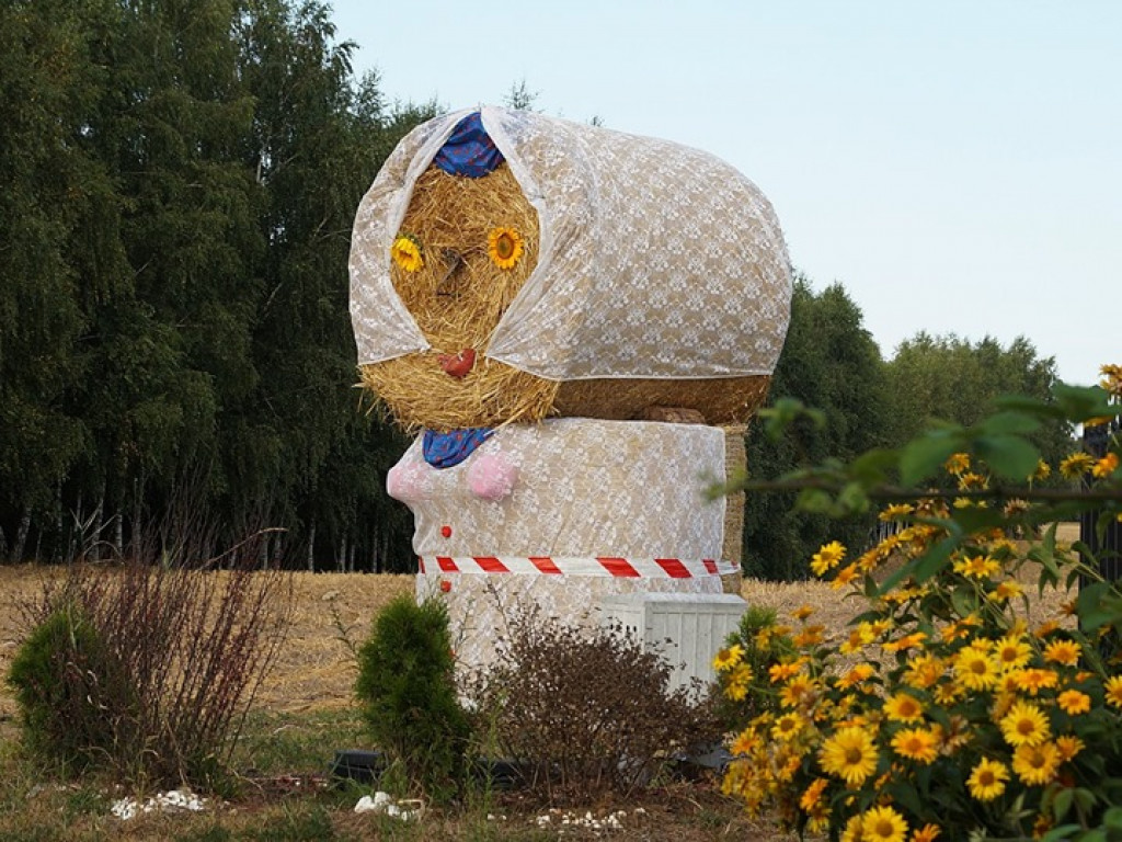 Żniwa