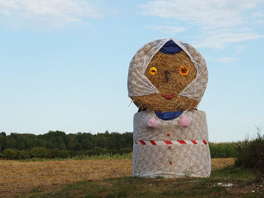 Żniwa