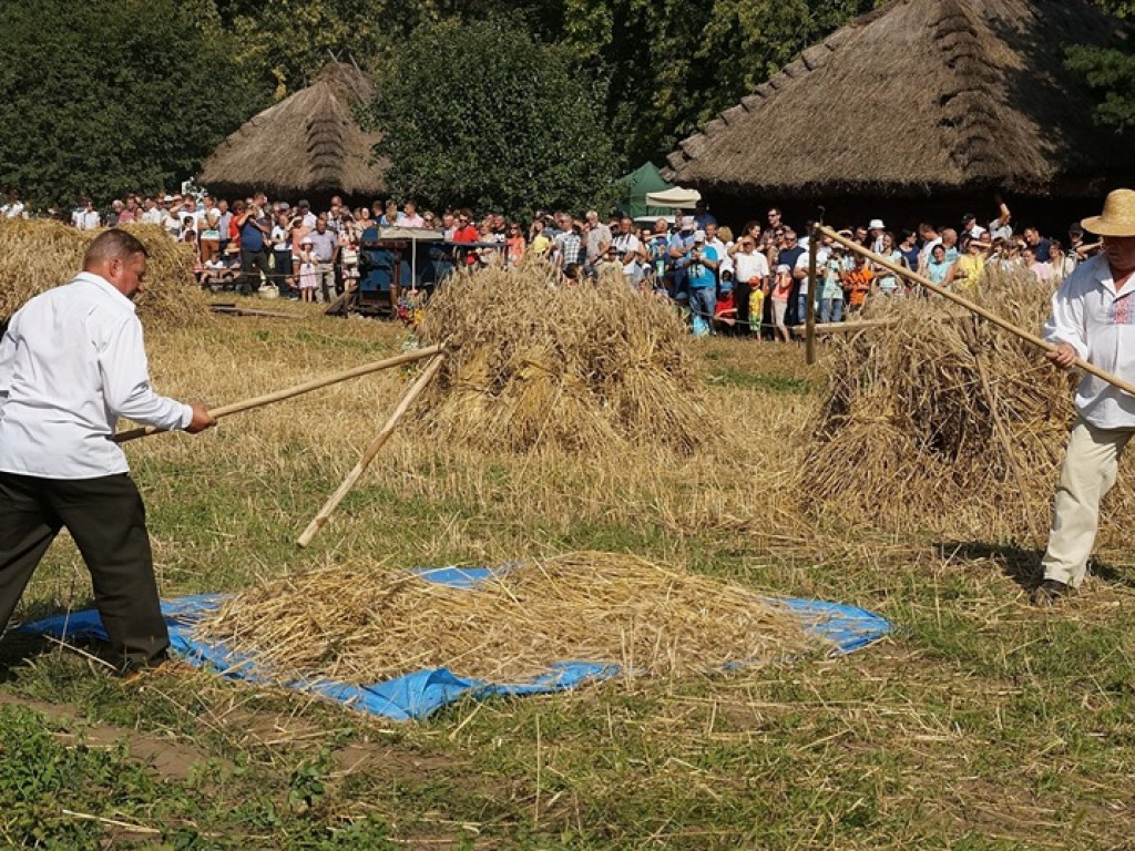 Żniwa w Muzeum Rolnictwa w Ciechanowcu - zdjęcia
