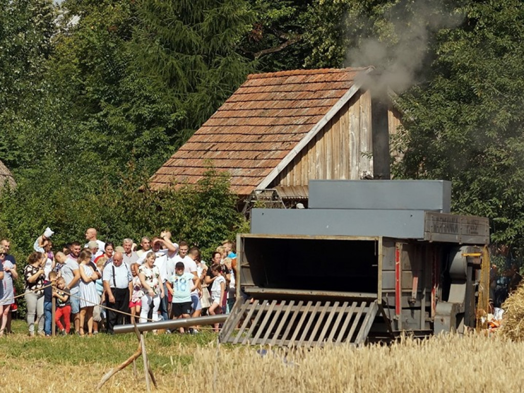 Żniwa w Muzeum Rolnictwa w Ciechanowcu - zdjęcia