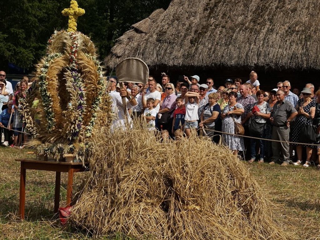 Żniwa w Muzeum Rolnictwa w Ciechanowcu - zdjęcia