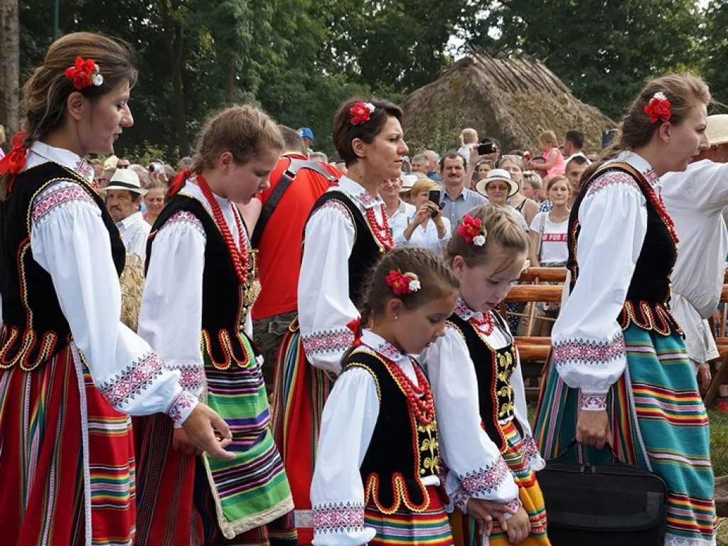 Żniwa w Muzeum Rolnictwa w Ciechanowcu - zdjęcia