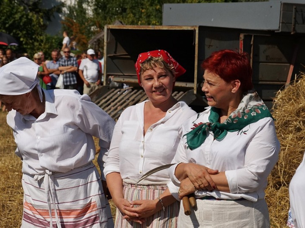 Żniwa w Muzeum Rolnictwa w Ciechanowcu - zdjęcia
