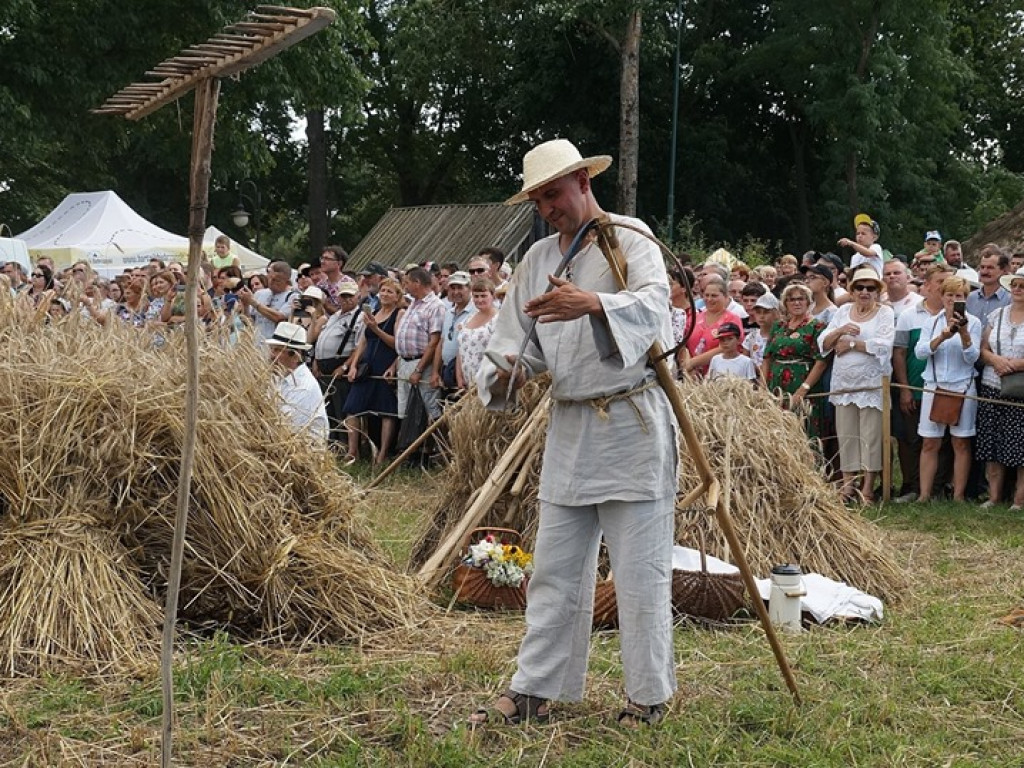 Żniwa w Muzeum Rolnictwa w Ciechanowcu - zdjęcia