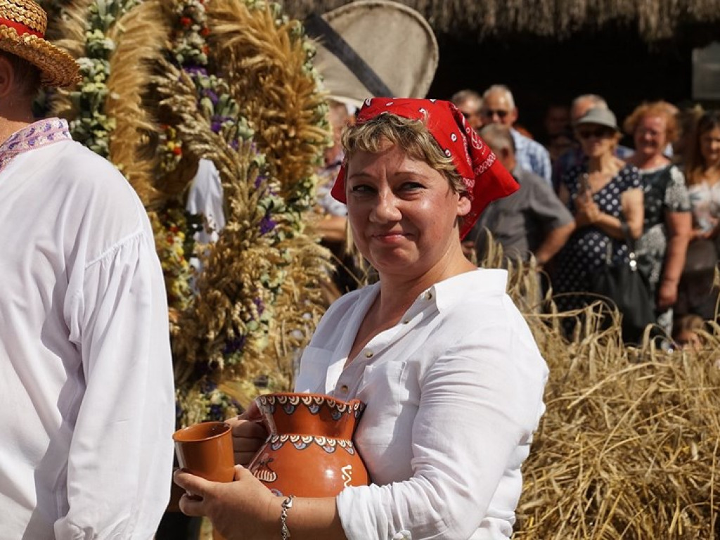 Żniwa w Muzeum Rolnictwa w Ciechanowcu - zdjęcia