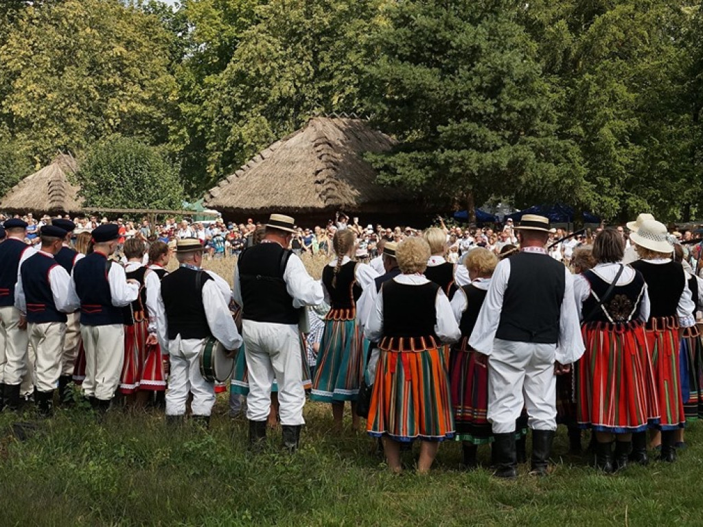 Żniwa w Muzeum Rolnictwa w Ciechanowcu - zdjęcia