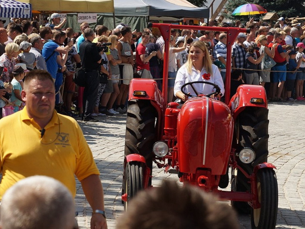 Muzeum Rolnictwa w Ciechanowcu: maszyny rolnicze - zdjęcia