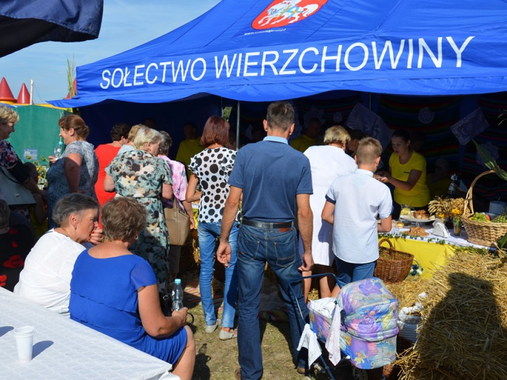Dożynki w gminie Ulan-Majorat - część artystyczna