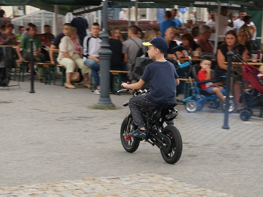 Dni Kocka, 17 sierpnia - zdjęcia