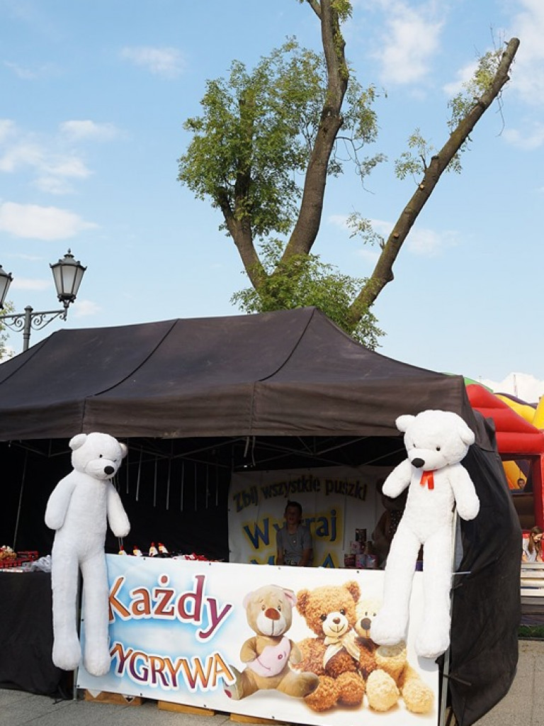 Dni Kocka, 17 sierpnia - zdjęcia