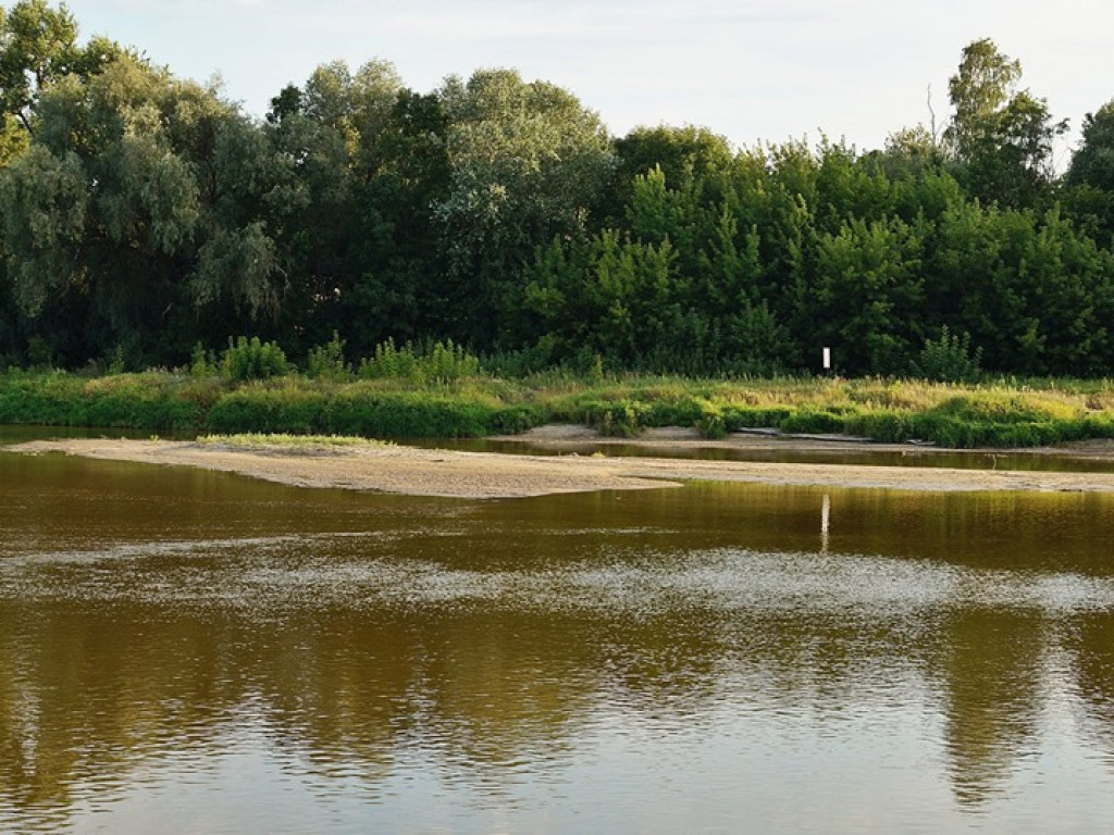 Bug w Drohiczynie - zdjęcia