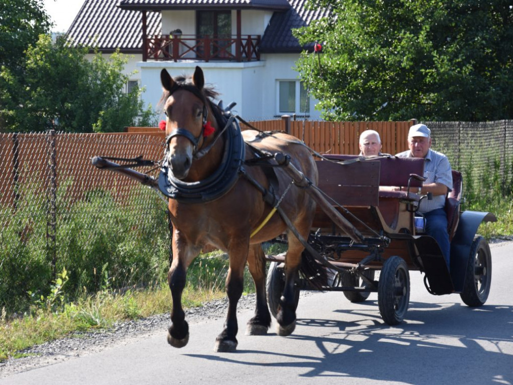 Gminne 
