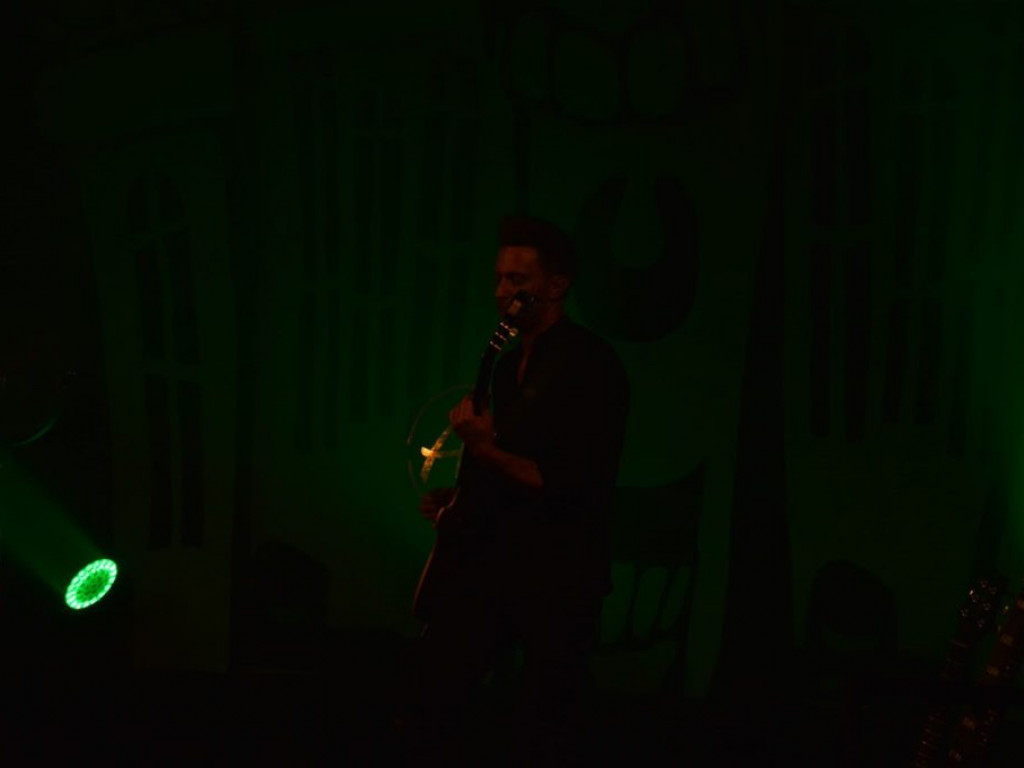 Koncert Anny Karwan w Radzyniu