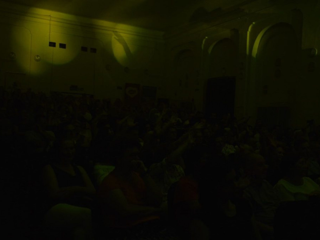 Koncert Anny Karwan w Radzyniu