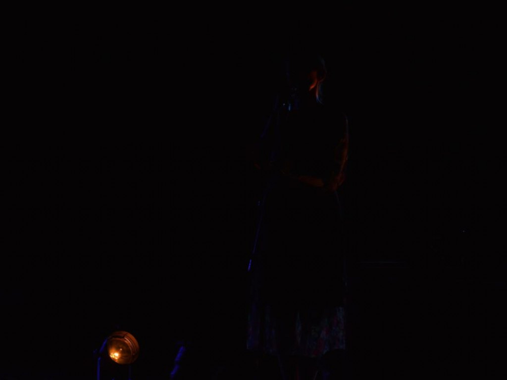 Koncert Katarzyny Groniec w Radzyniu