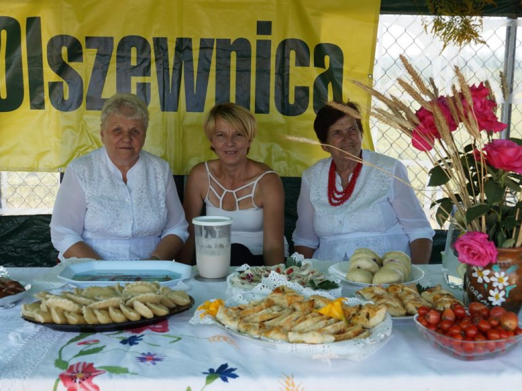 Dożynki gminno-powiatowe w Woli Osowińskiej - zdjęcia