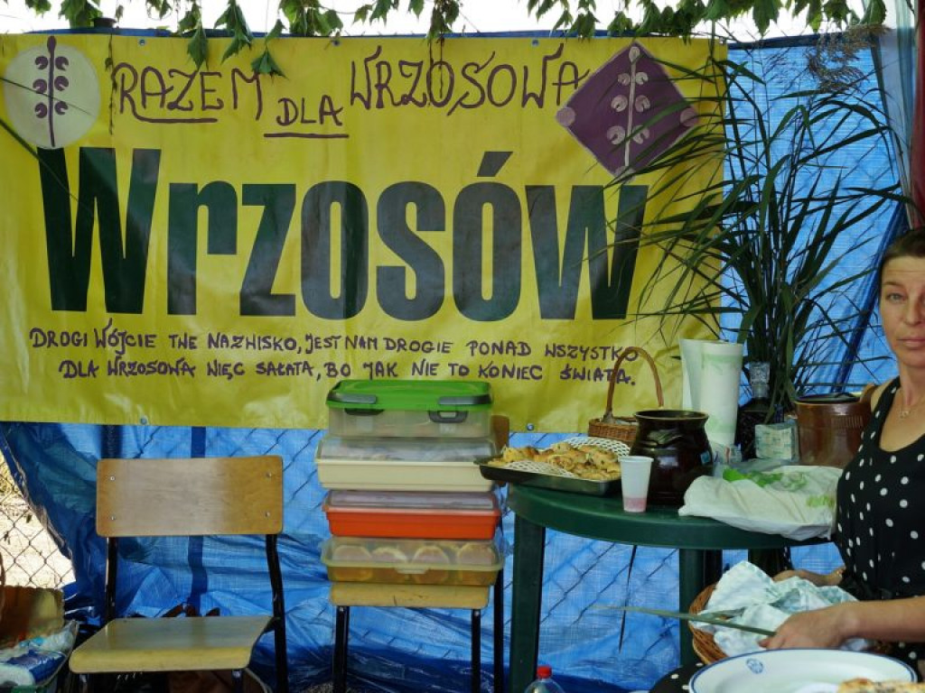 Dożynki gminno-powiatowe w Woli Osowińskiej - zdjęcia