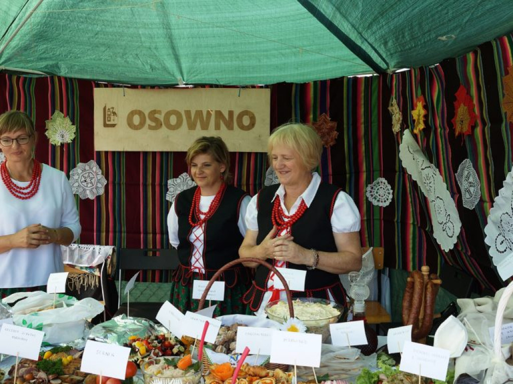 Dożynki gminno-powiatowe w Woli Osowińskiej - zdjęcia